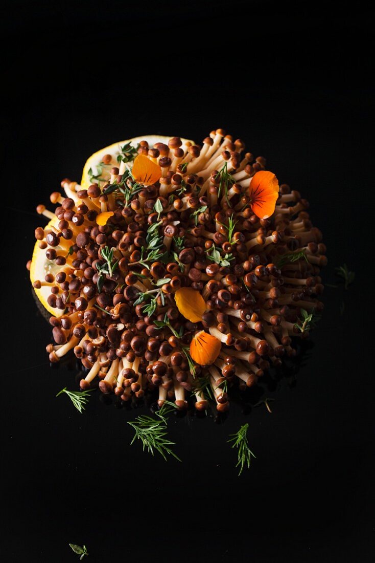 Pilze mit Blütenblättern, Thymian und Dill auf schwarzem Untergrund