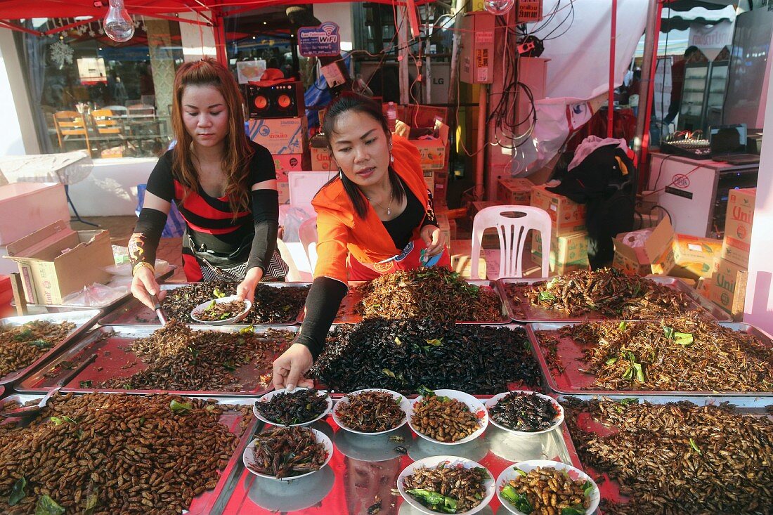Imbiss-Stand mit frittierten Insekten auf einem Markt in Vientiane, Laos
