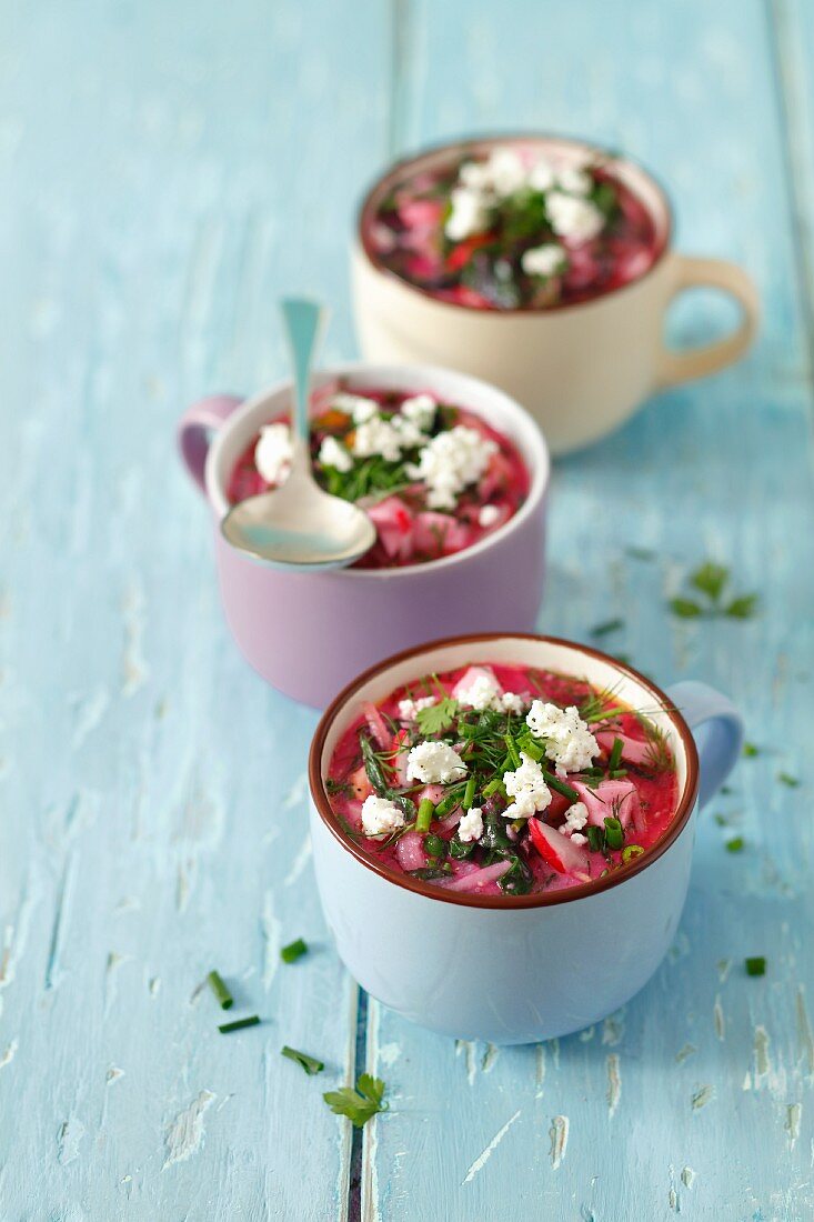 Cold buttermilk and quark soup with young beetroot and turnip leaves, radishes and herbs