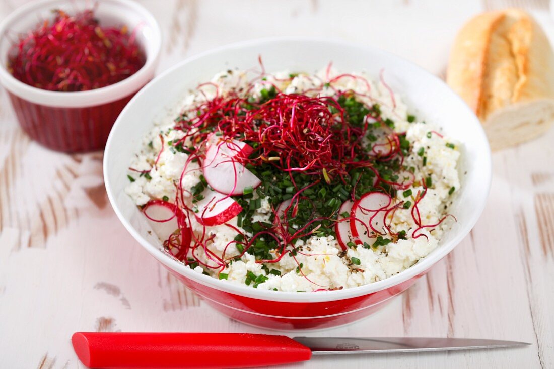 Cottage cheese with chives, radishes and beetroot sprouts