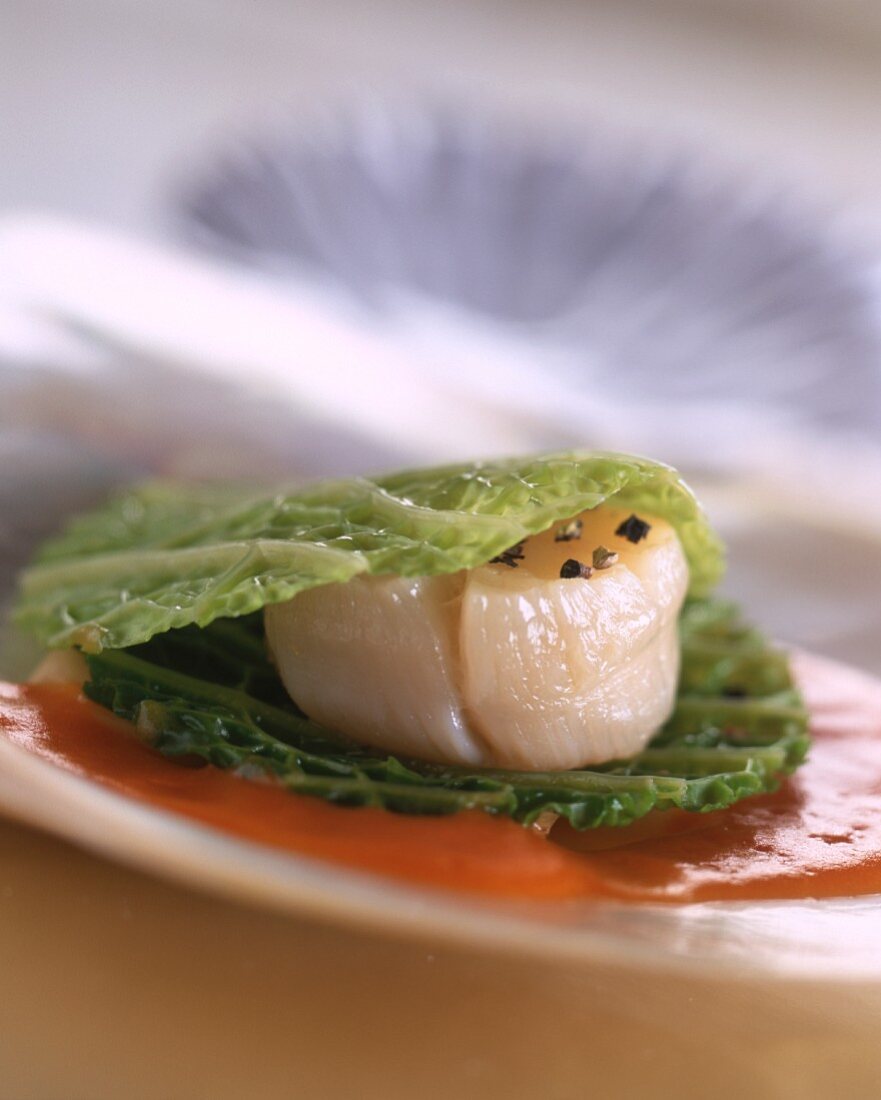 A scallop in a savoy cabbage leaf on a pool of sauce