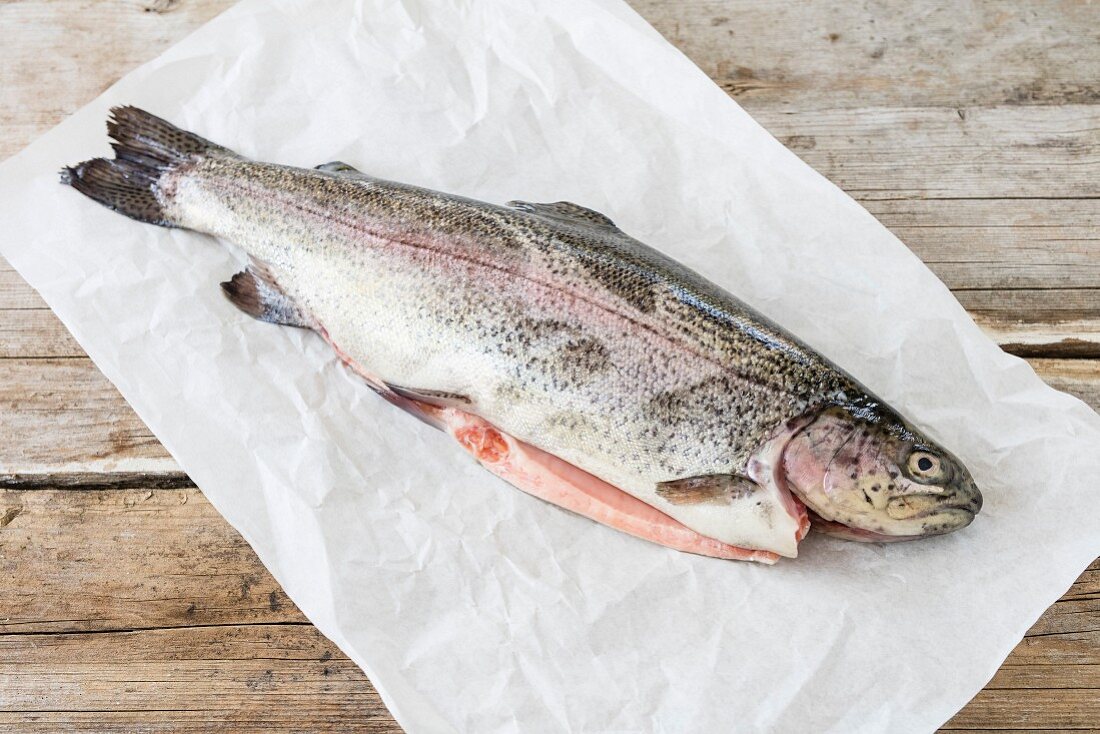A fresh salmon trout on a piece of paper