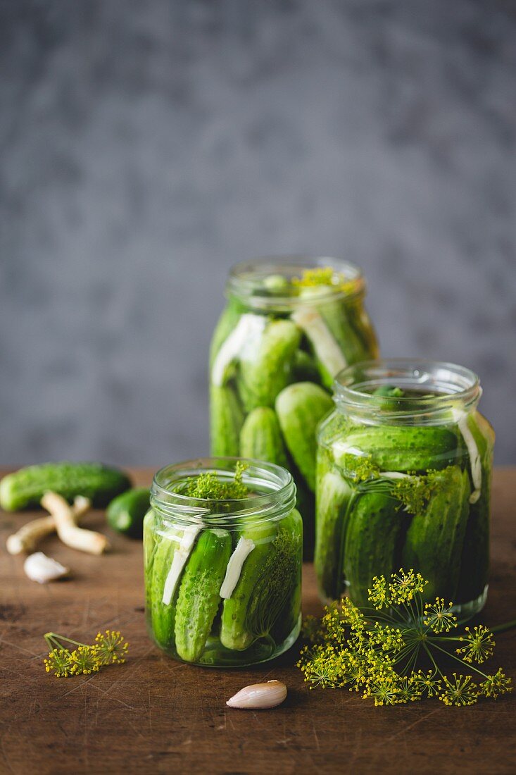 Three jars of gherkins with dill, garlic and horseradish