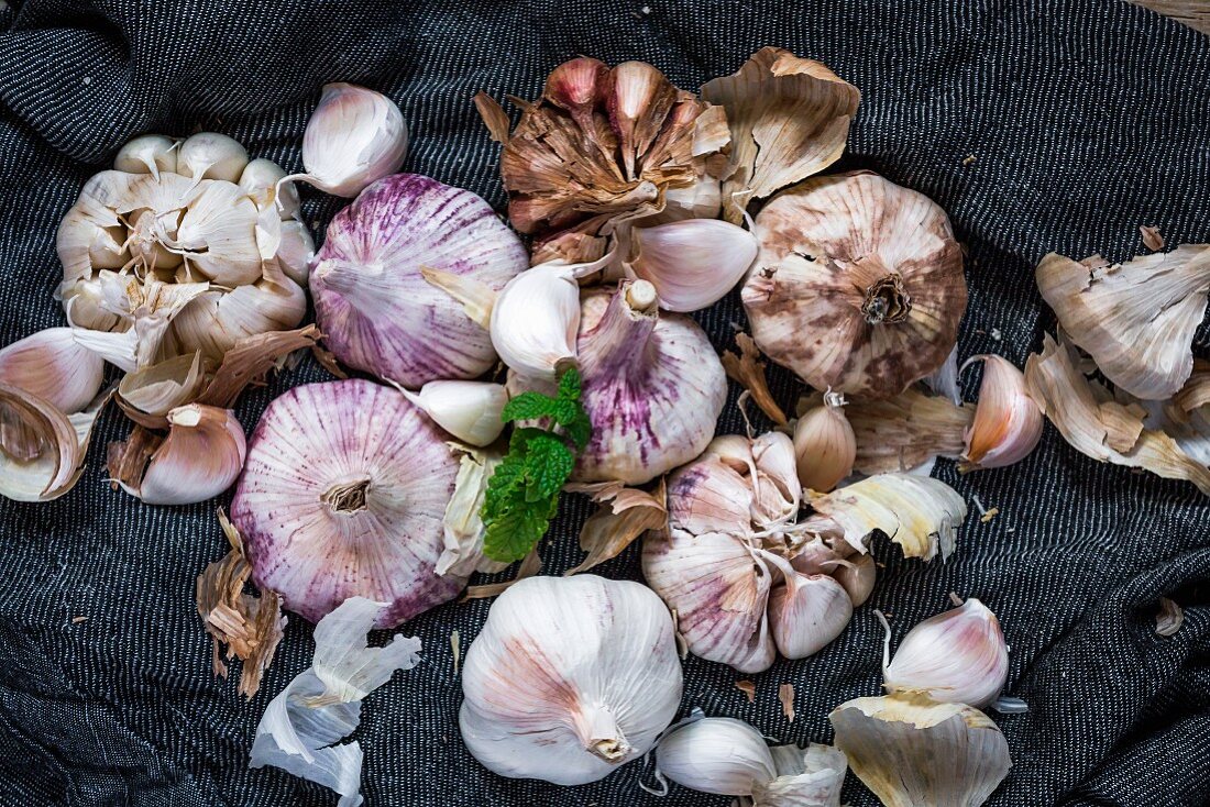 Purple garlic on a towel with herbs
