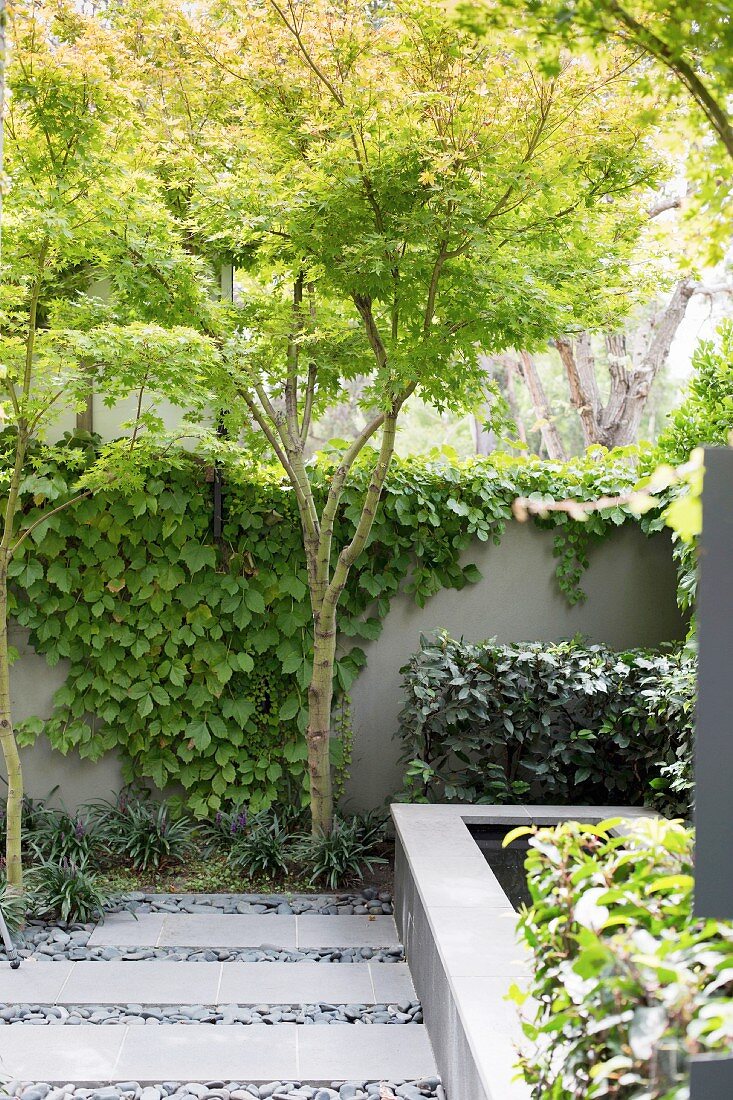 Stone slabs and pebbles in front of a garden wall