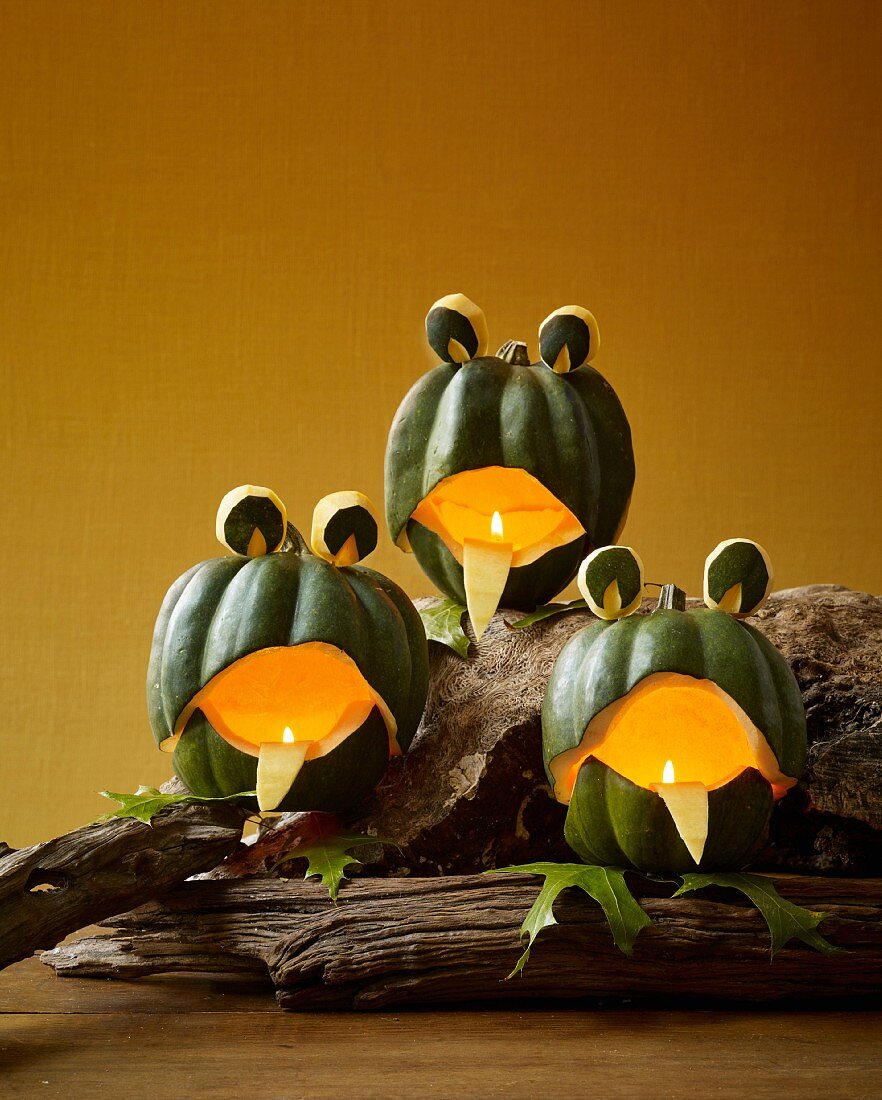 Pumpkin frogs as Halloween decoration