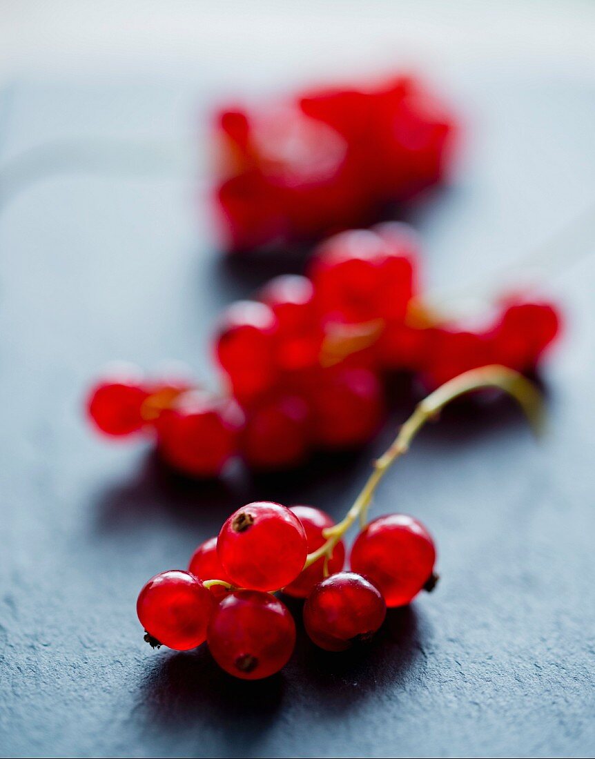 Redcurrants (close-up)