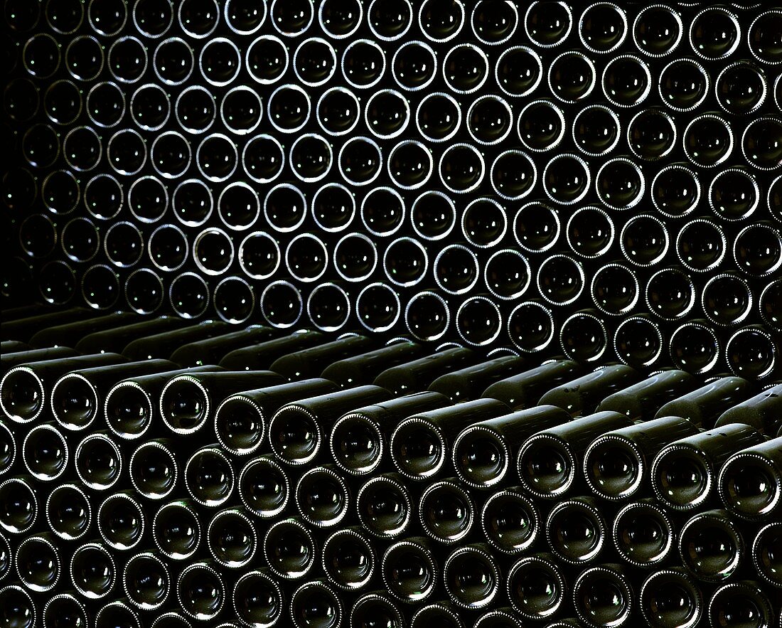 Lagerung von Weinflaschen im Keller von Vina Aquitania, Chile