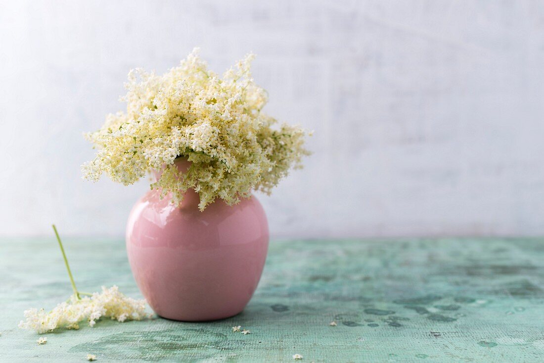 Vase of elderflowers