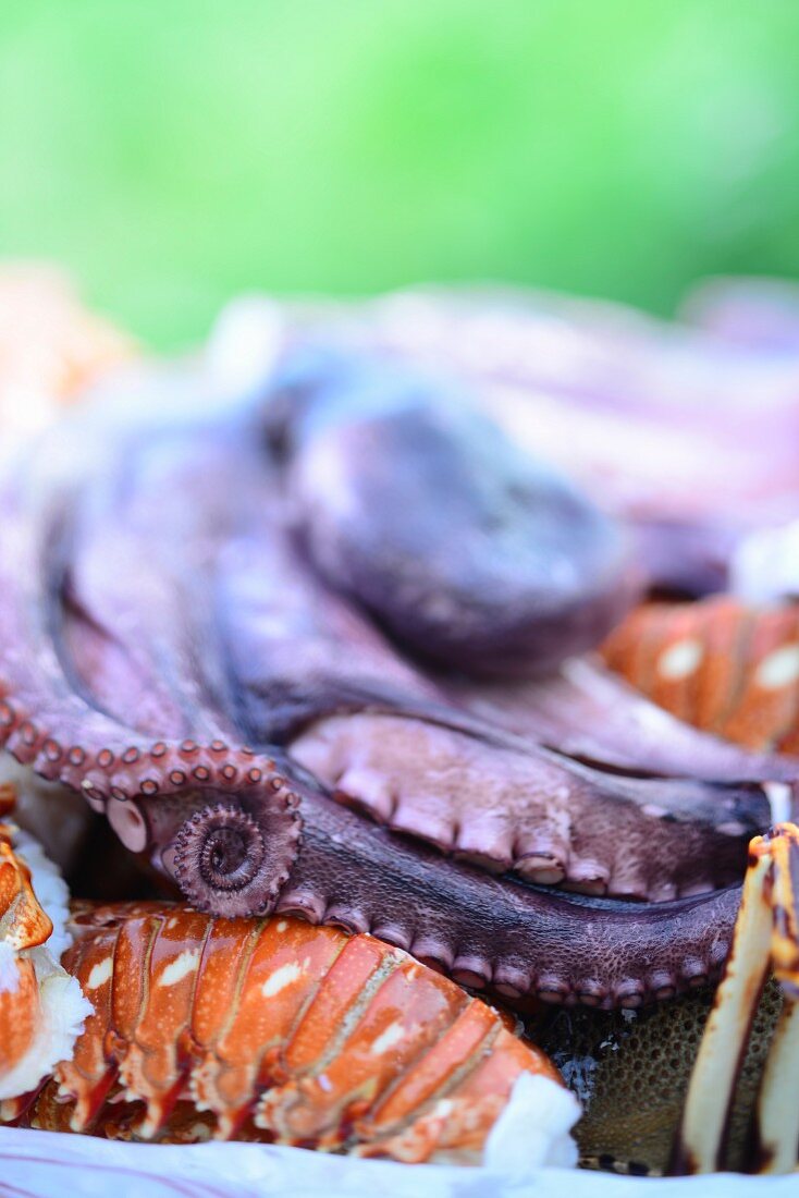 Oktopus und Hummer auf karibischem Buffet (Close Up)