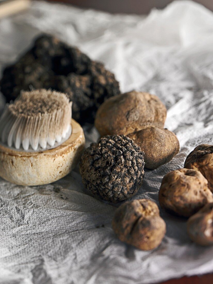 White truffles and summer truffles