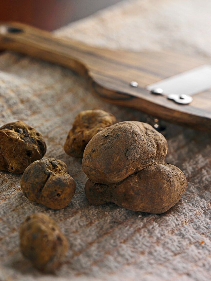 White truffles and a truffle slicer