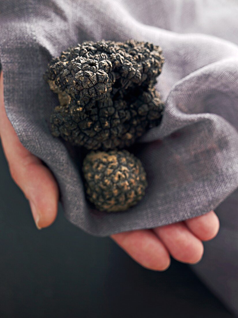 Summer truffles on a grey linen cloth