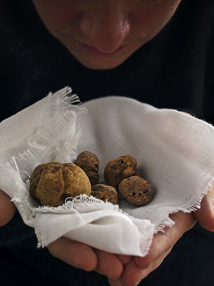 White truffles on a white cloth