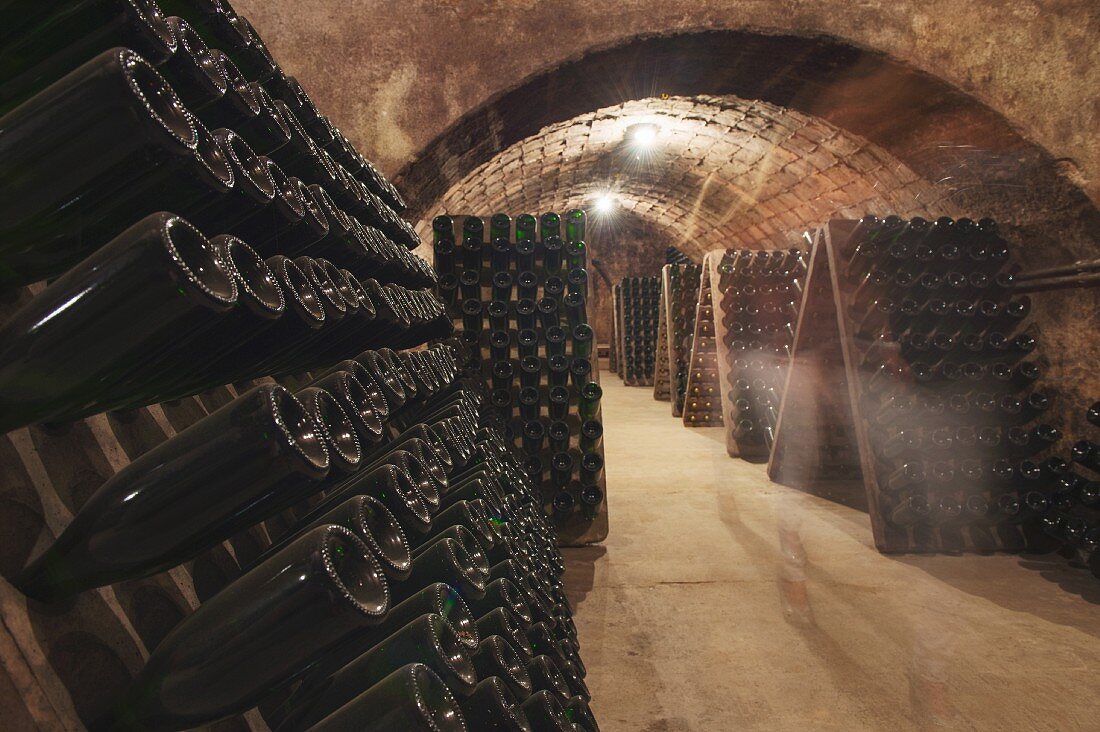 The cava wine cellar of the Sumarroca winery in El Penedes, Spain