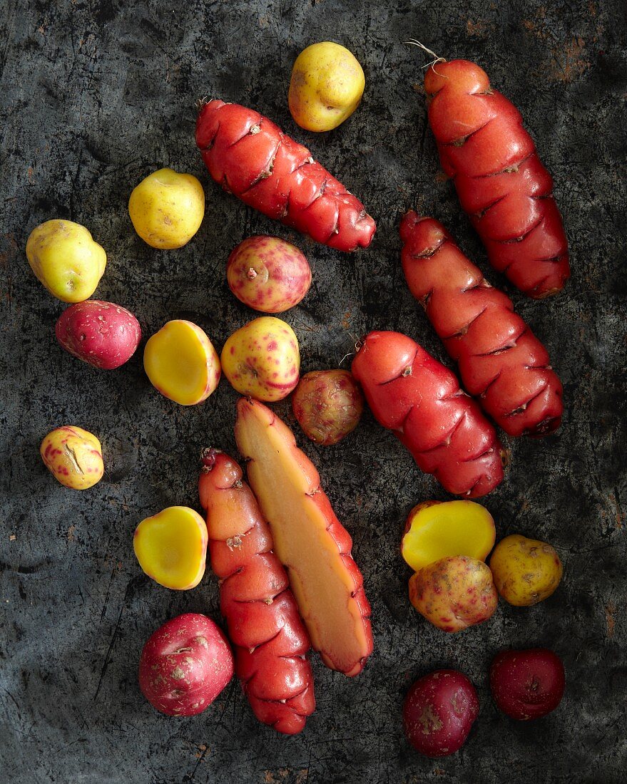 Root vegetables from the Andes (South America)