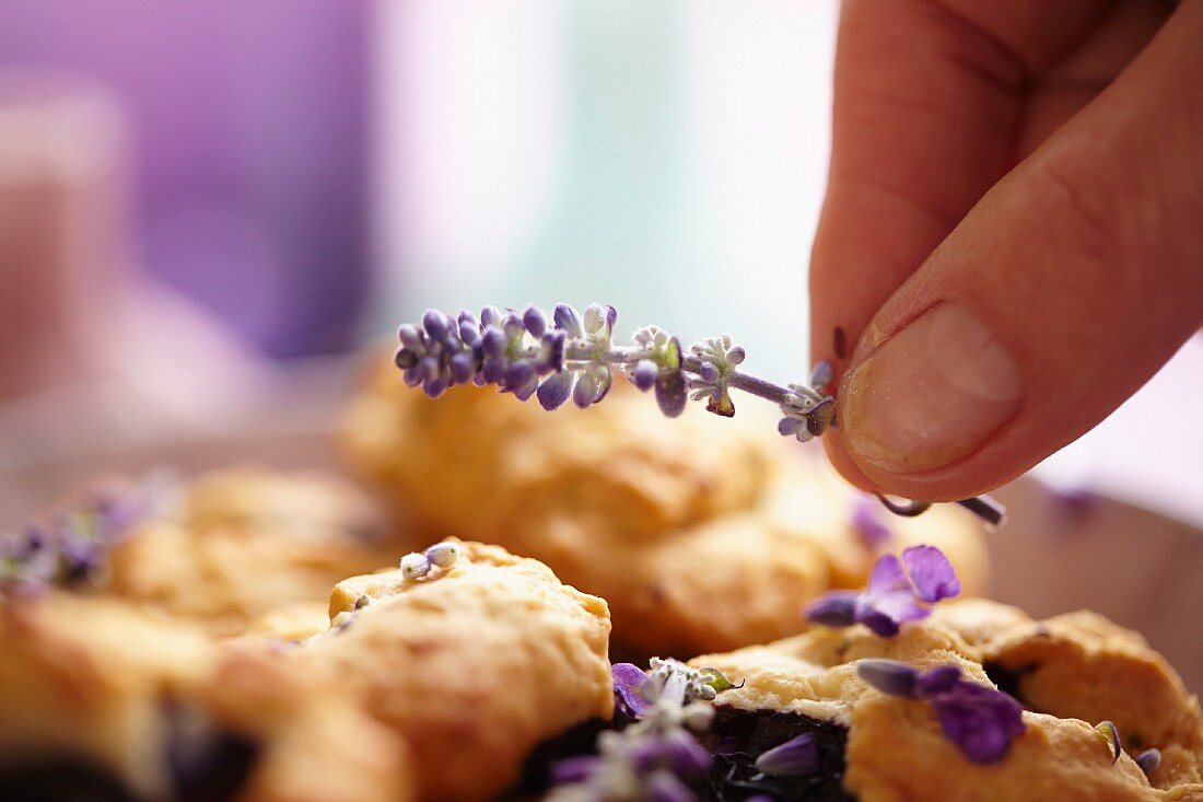 Decorating blueberry & lavender biscuits with lavender flowers