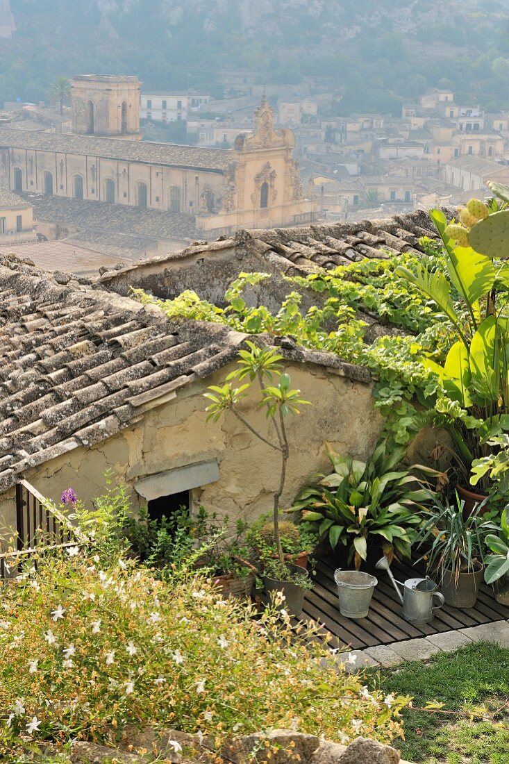 Plants on wooden terrace with view of city