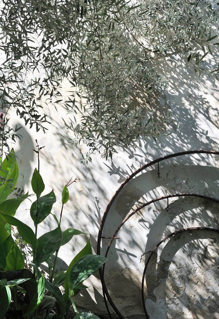 Three nested metal rings and plants against façade of Mediterranean house