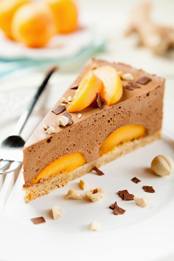 A slice of chocolate mousse cake with apricots