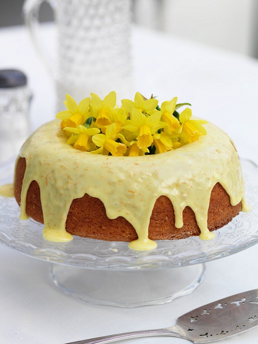 Orange marmalade cake with drizzled icing and daffodils