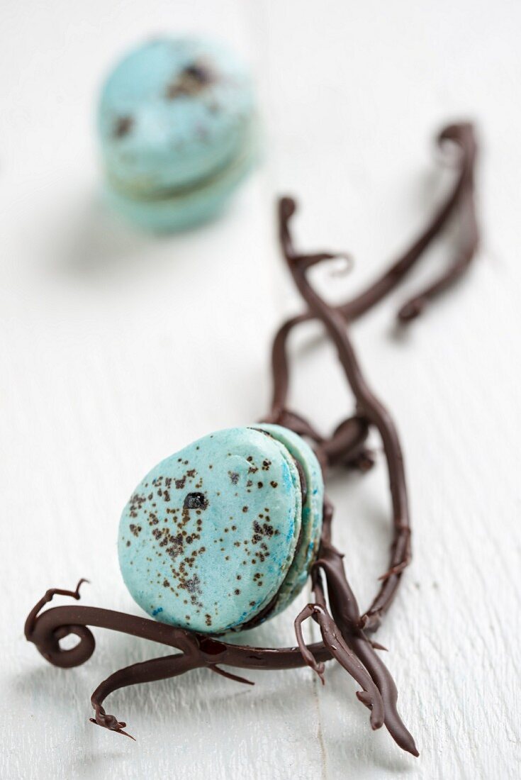 Blaue Macarons mit Schokoladenzweigen