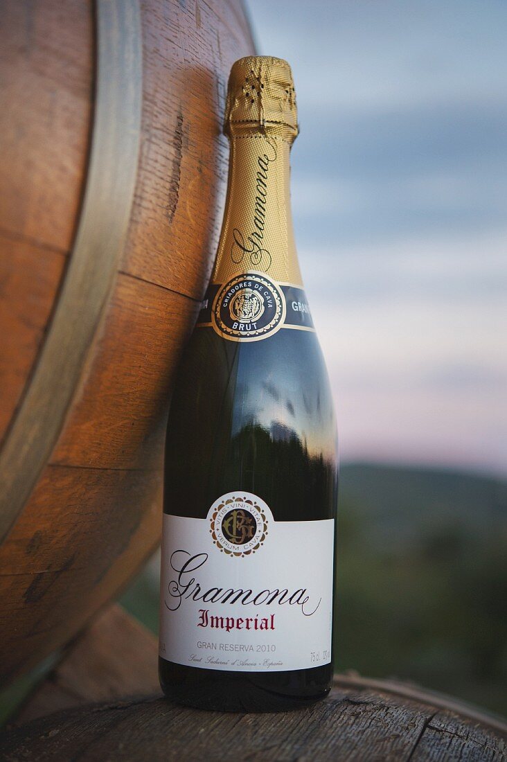 A bottle of sparkling wine from the Gramona winery (in El Penedes, Spain)