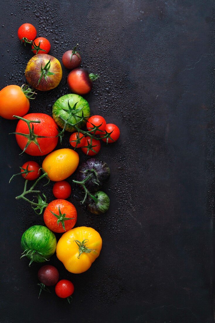 Verschiedene Tomatensorten auf schwarzem Untergrund