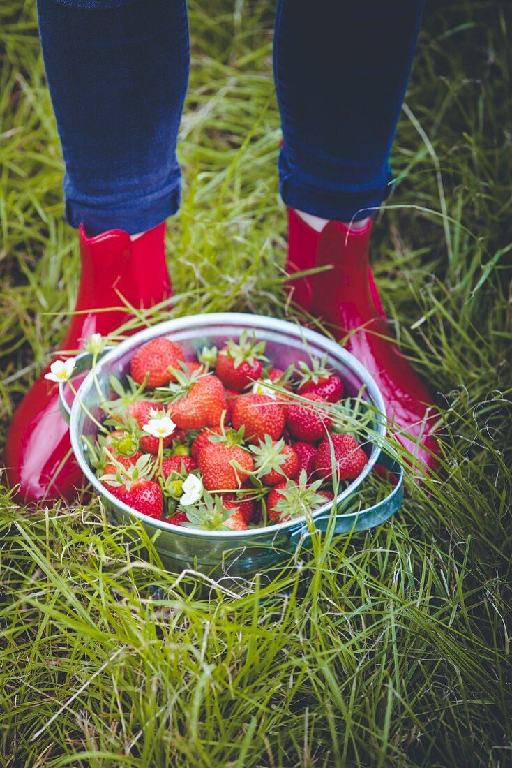 Person in Gummistiefeln steht hinter Eimer mit Erdbeeren im Gras