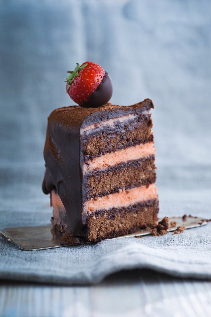 Ein Stück Schokoladenbiskuittorte mit Erdbeeren