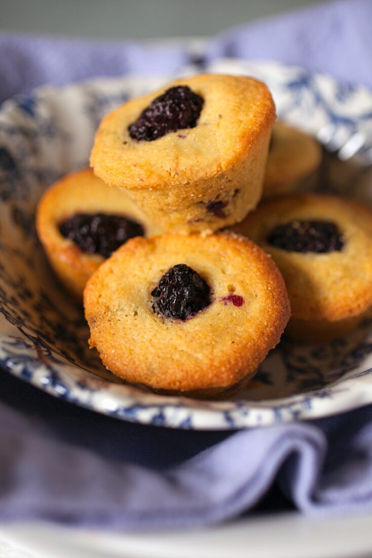 Blackberry mini muffins