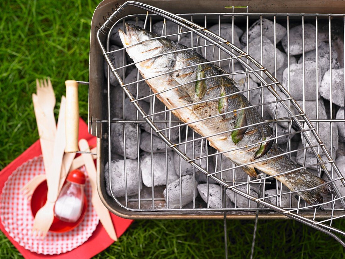 Bass on a charcoal barbecue