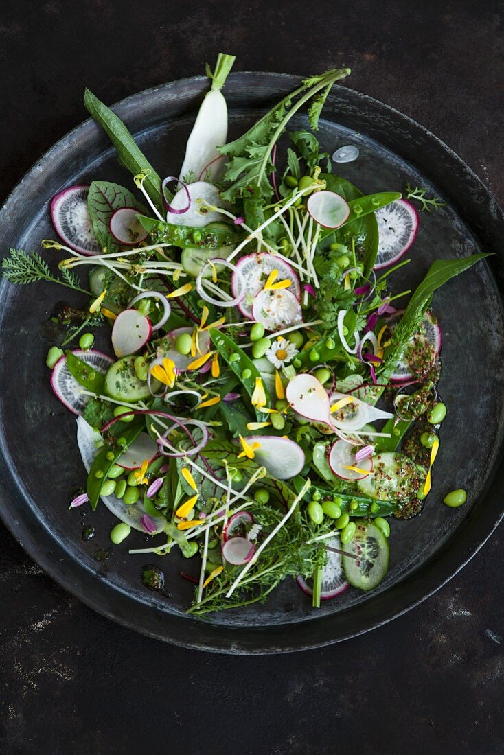 Veganer Frühlingssalat mit Saubohnen, Radieschen, Schafgarbe und Essblüten