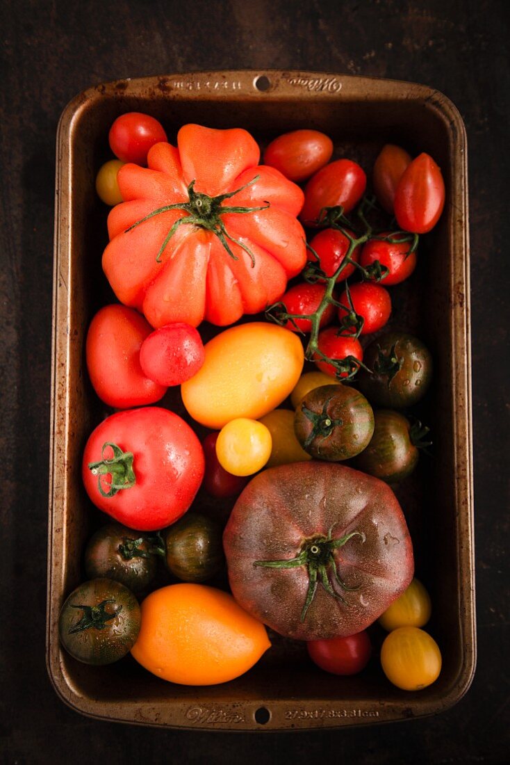 Colourful tomatoes in an old baking tray