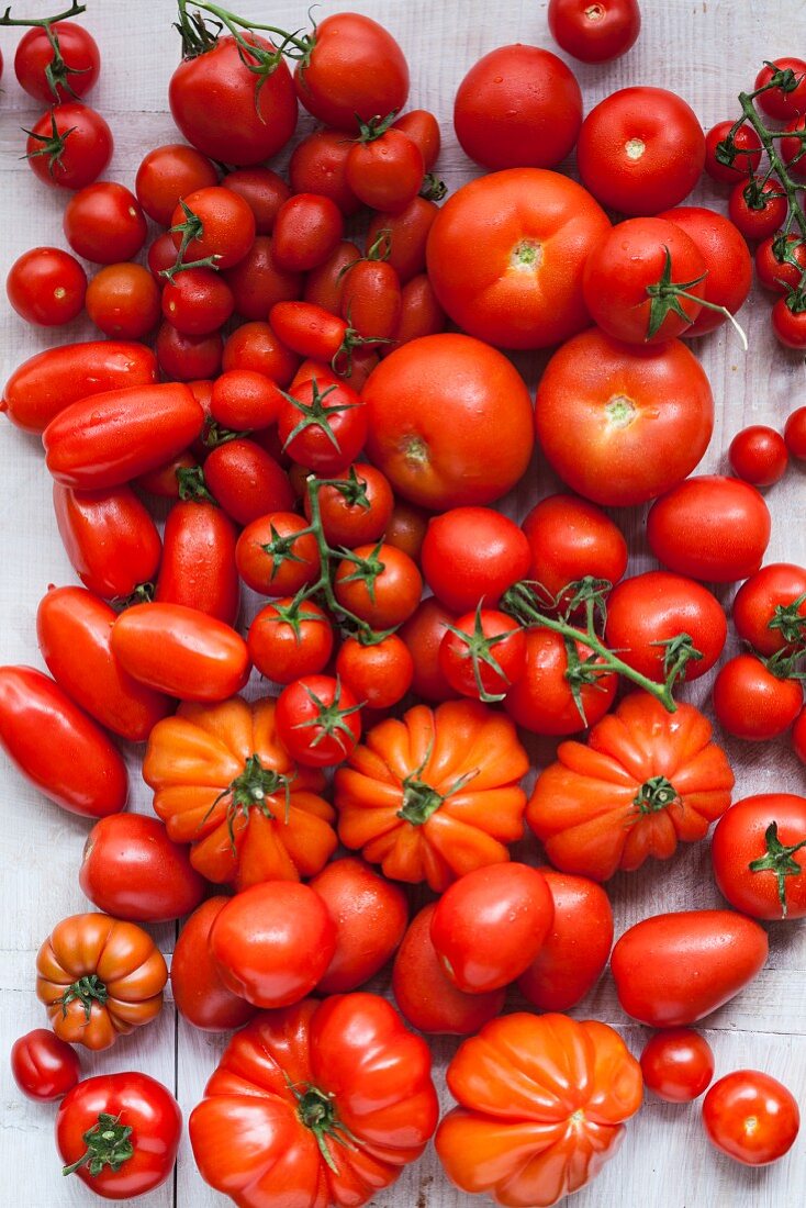 An assortment of red tomatoes