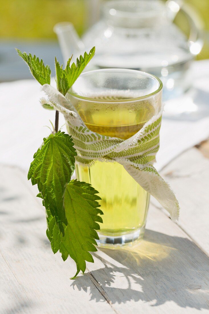 Nettle tea