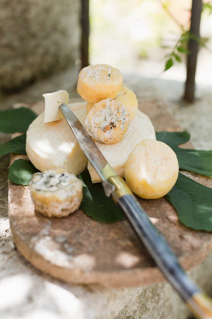 Marcellin and Le Petit Léoncel (French soft cheese)