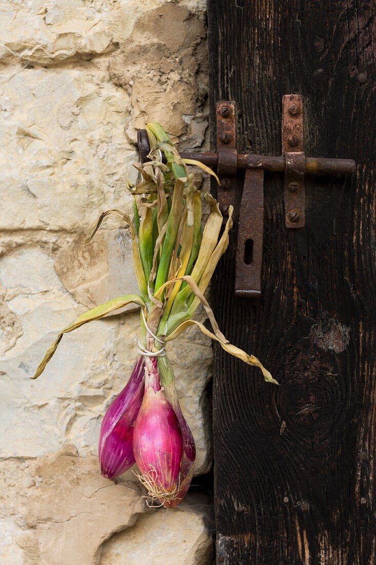 Red onions hanging on a wooden door