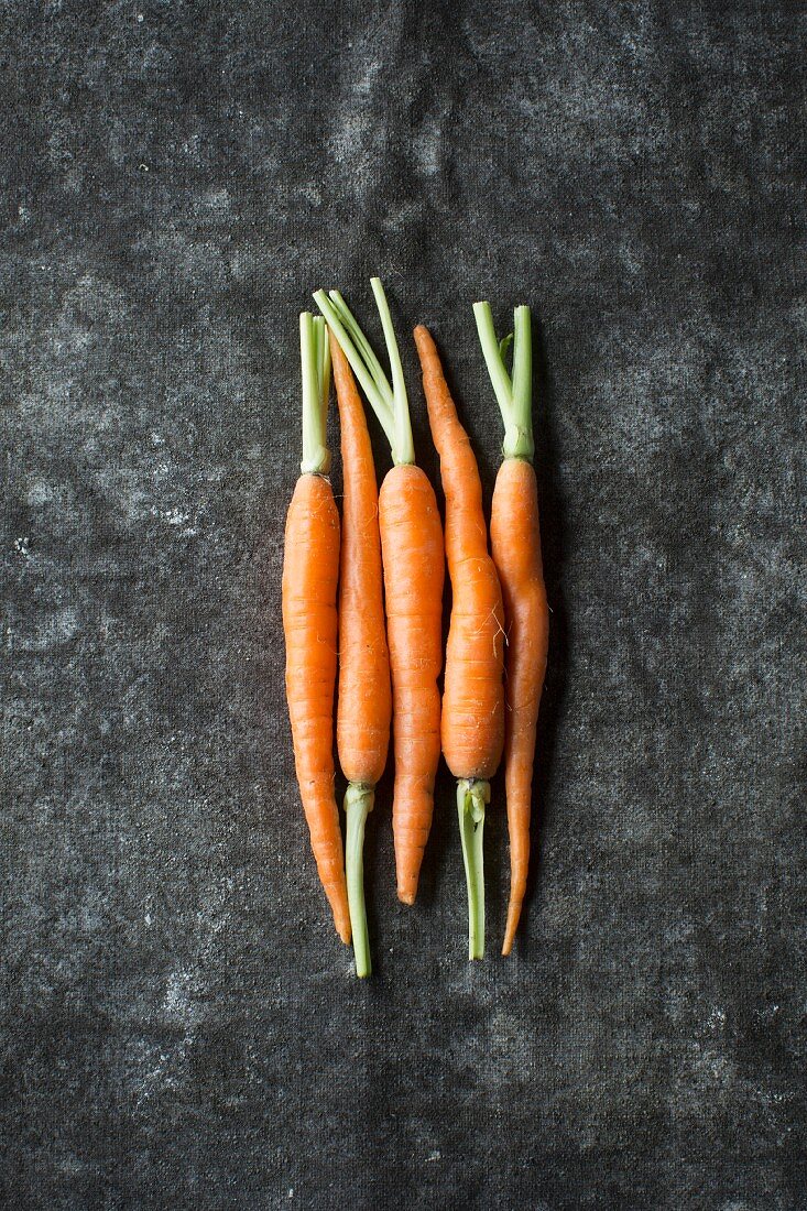 Fünf junge Karotten nebeneinander liegend auf grauem Untergrund