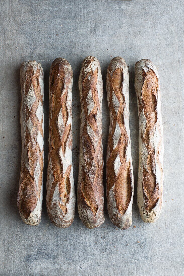 Baguette de Campagne (French baguettes)