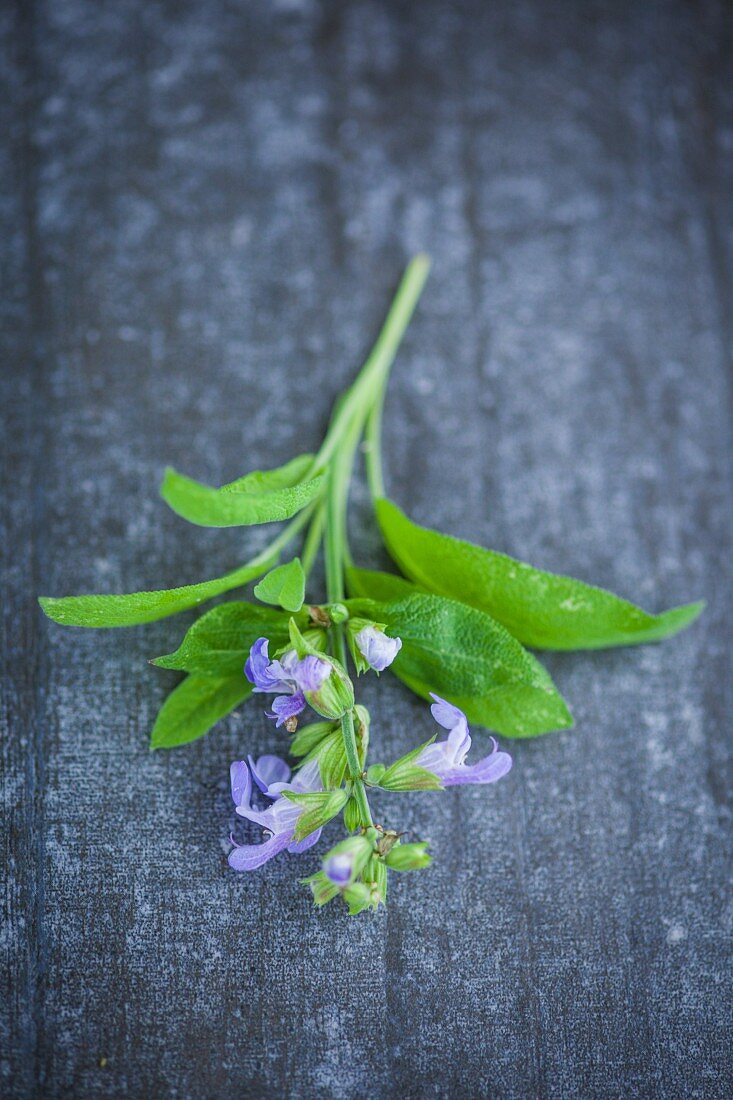 Sage with flowers