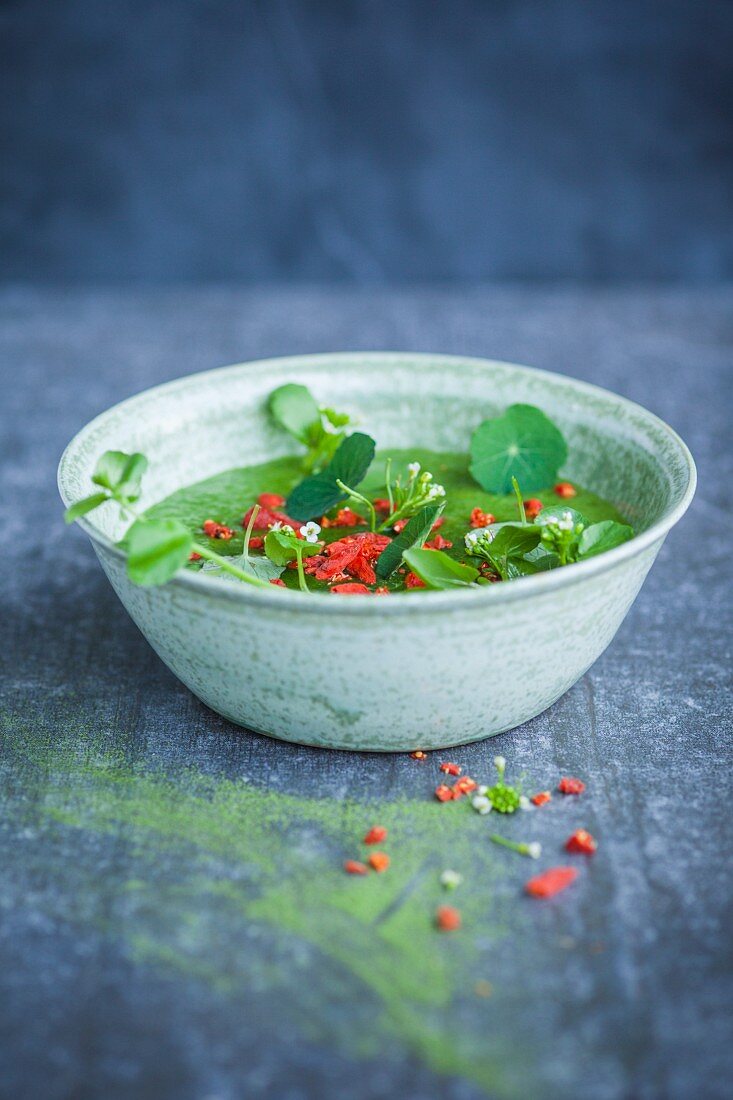 Grüne Smoothie Bowl mit Kresse, Weizengraspulver und Gojibeeren (Superfood)