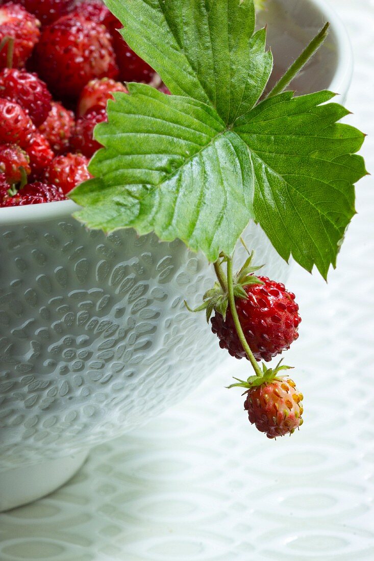 Wild strawberries in a bowl with a leaf