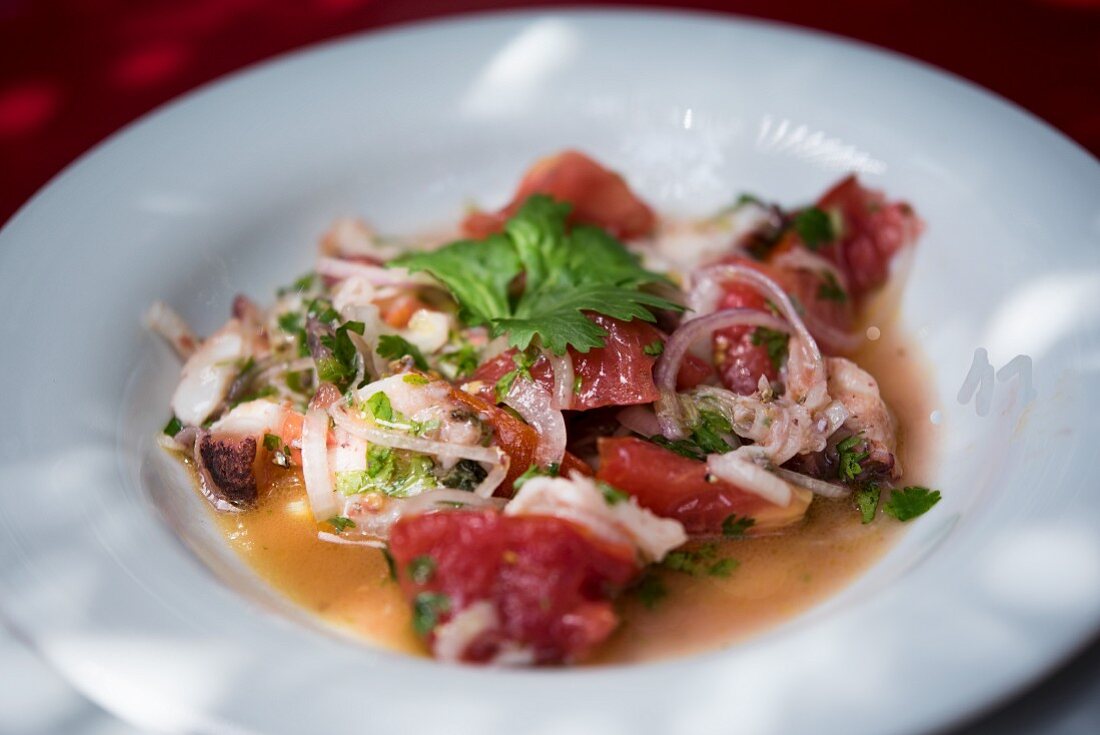 Oktopussalat mit Tomaten und Kräutern