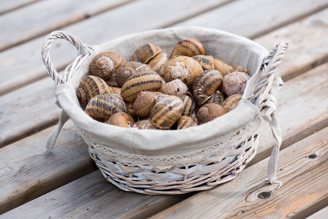 Empty snail shells in a wicker basket