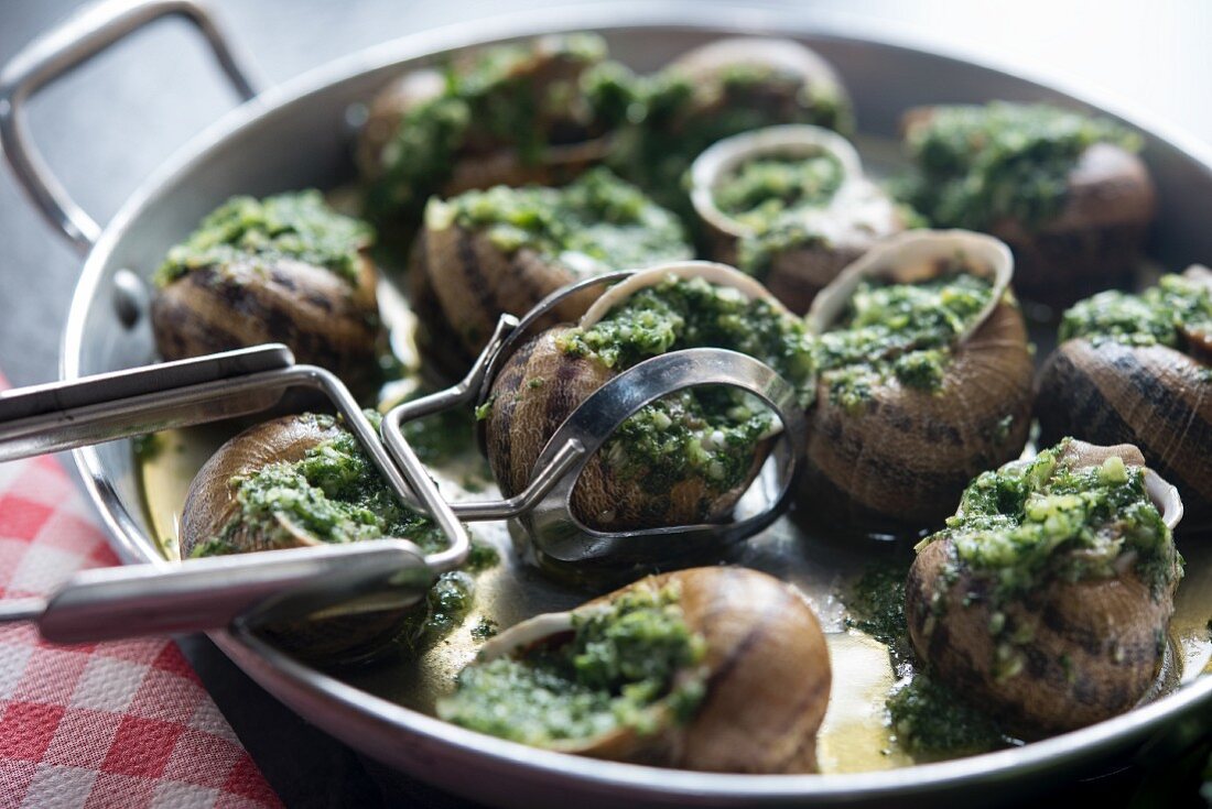 Snails with herbs and garlic