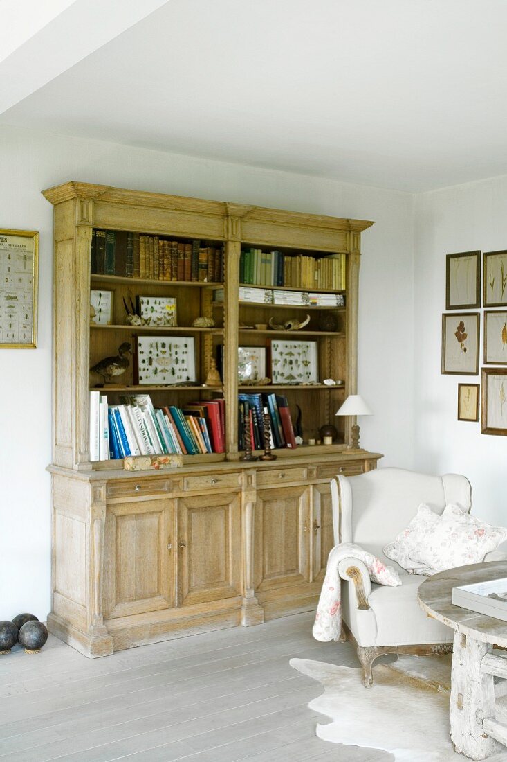 Collection of butterflies on rustic bookcase next to antique pale leather armchair