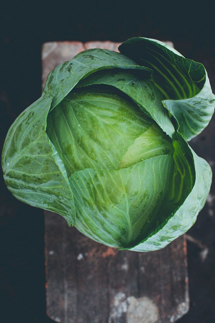 A cabbage (seen from above)