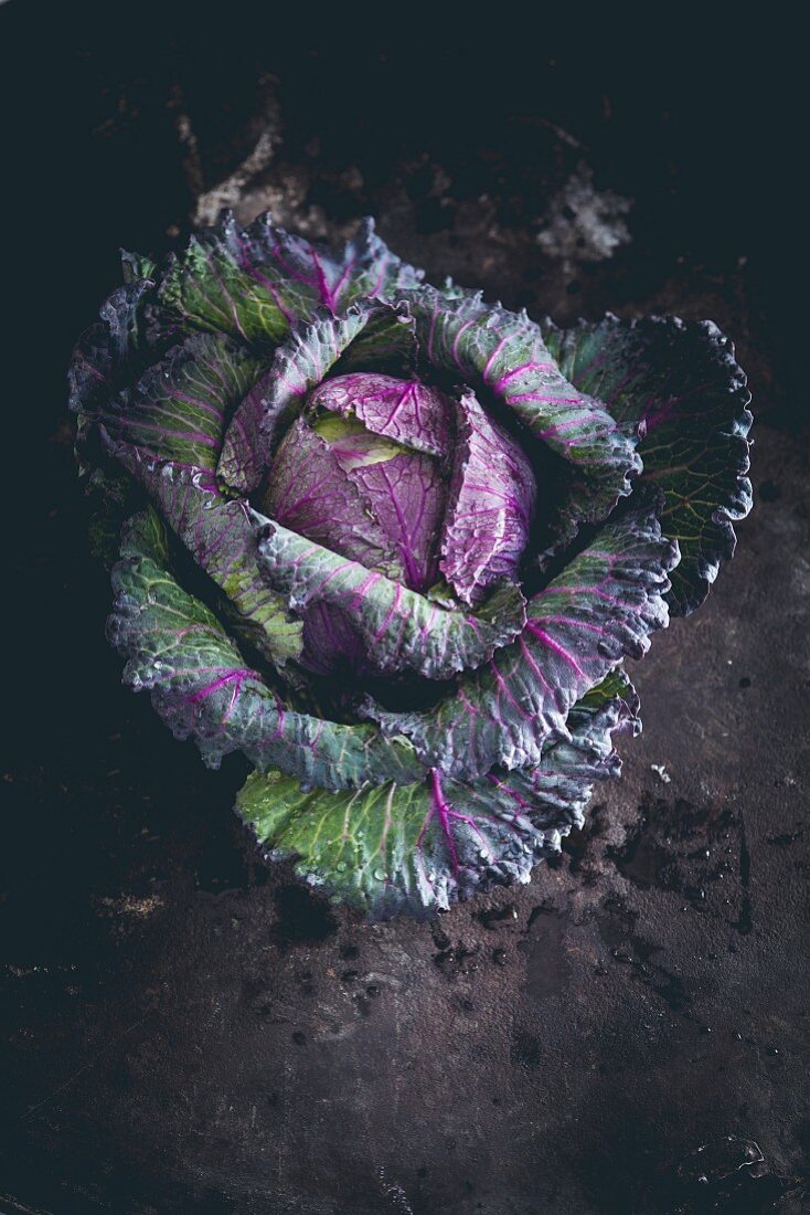 A red cabbage (seen from above)