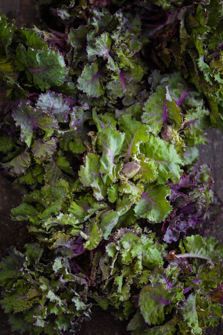 Flower Sprouts (Kreuzung aus Rosenkohl und Grünkohl)